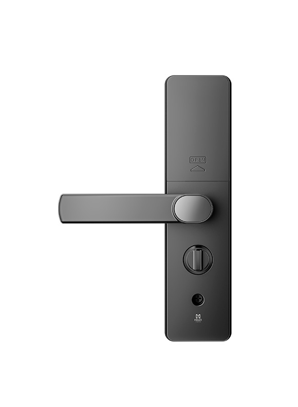 Cerradura Inteligente Detección de Huella Dactilar Tarjeta RFID Wifi Modelo MSL02 - Imagen 5